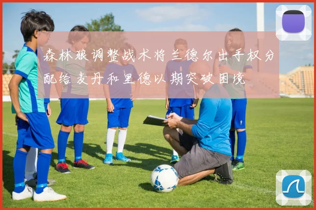 森林狼调整战术将兰德尔出手权分配给麦丹和里德以期突破困境