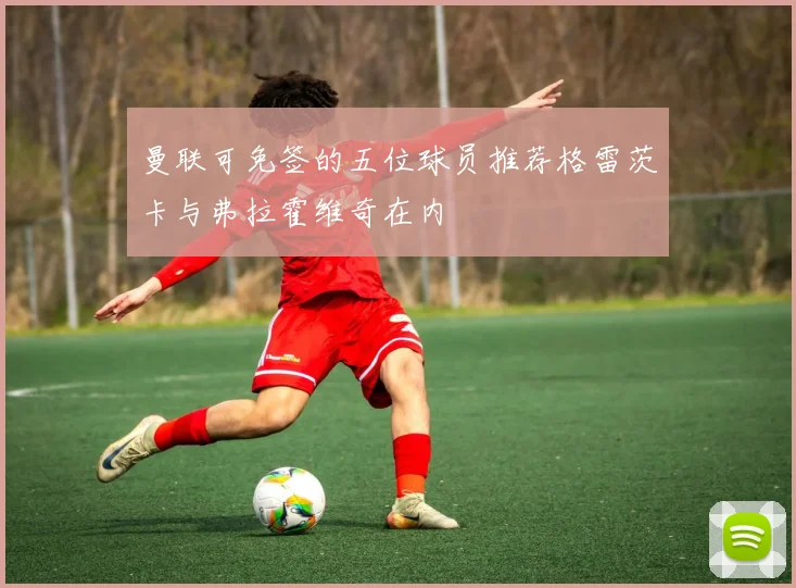曼联可免签的五位球员推荐格雷茨卡与弗拉霍维奇在内