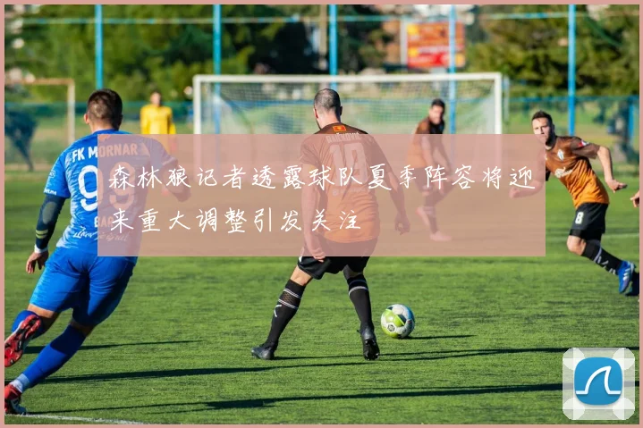 森林狼记者透露球队夏季阵容将迎来重大调整引发关注
